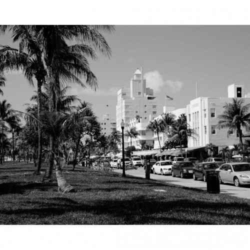 exposition belka "Florida"